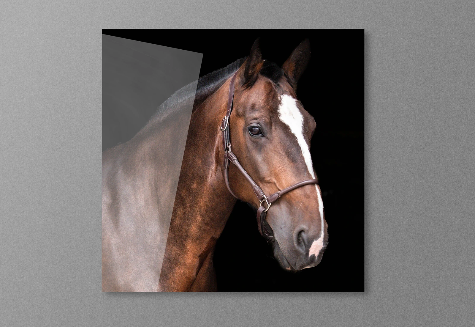 Acrylic Photo Prints